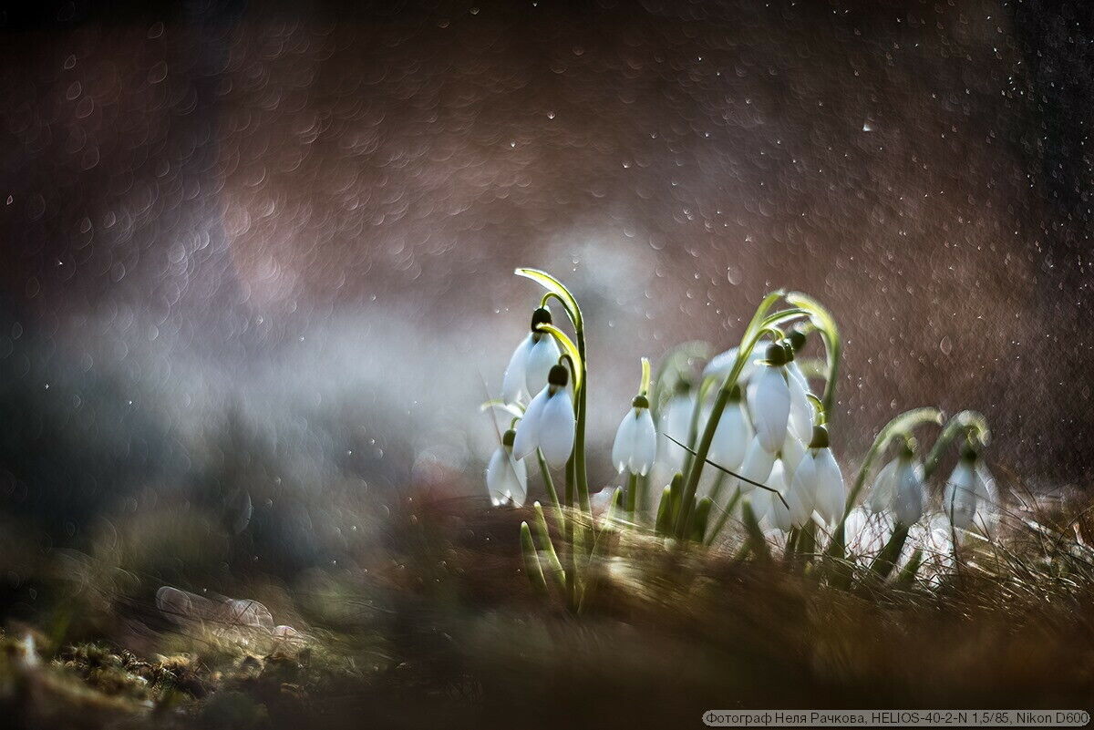 EXC Helios 40-2 85mm f/1.5 Canon Nikon Cz Biotar Copy Russian Bokeh Miracle